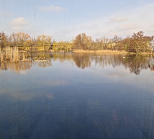 Blick auf den Garten