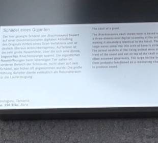 Museum für Naturkunde
