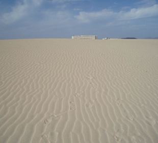 Die Dünen von Corralejo