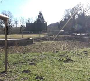 Botanischer Garten - Rombergpark