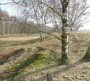 Wunderschöne Boberger Niederung