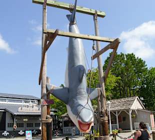 Universal Studios Orlando