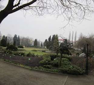 Breslauer Altstadt Botanischer Garten