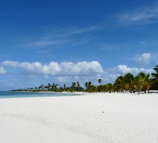 Saona