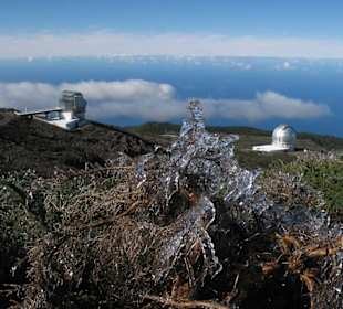 Roque de los Muchachos