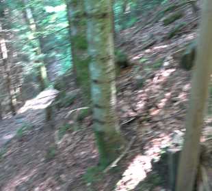 Griesbacher Wasserfälle Bad Griesbach