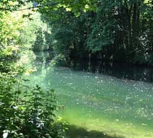 Mittlerer Gönninger See