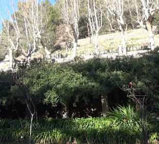 Gartenanlage - Spektakel im Garten