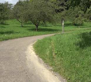 Hochgehnießen - Premiumspazierwanderweg