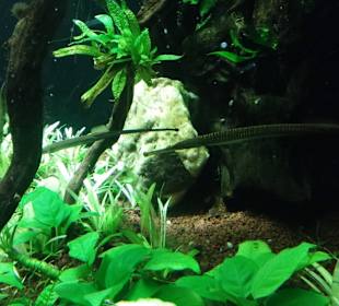 Zoo Wrocław