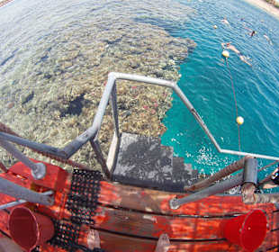 Einfacher Einstieg ins Meer