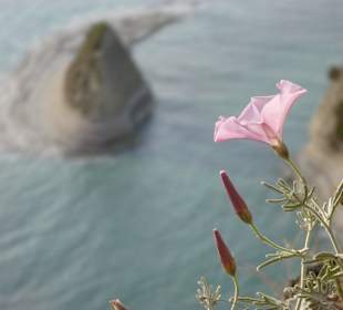 Photo inside of cape drastis-thematic park