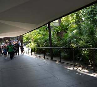 Singapur Zoo