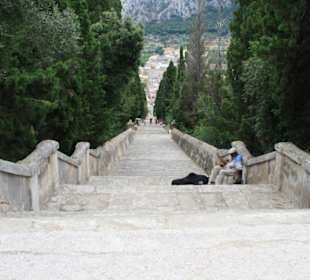 Treppe in Pollenca