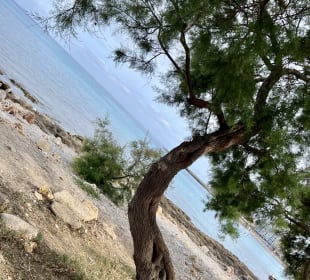 Strand Cala Moreia