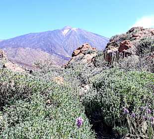 Teide Nationalpark