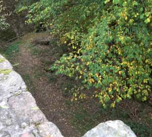 Burgruine Hohenschramberg