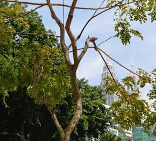 Petronas Twin Towers