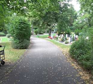 Friedhof