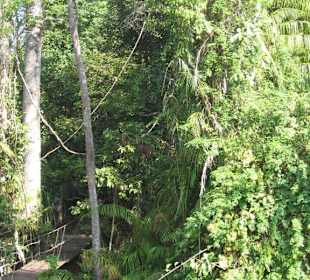 Khao Yai Nationalpark