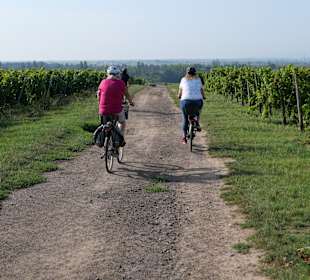 Stadtführung Worms