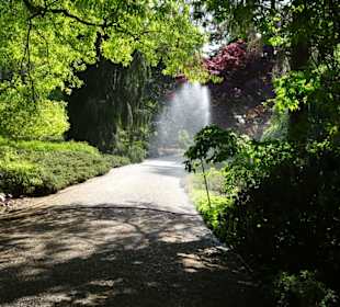 Eindrücke vom Rundgang durch den Berggarten