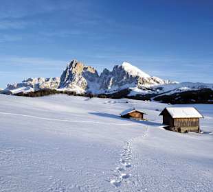 Villanderer Alm
