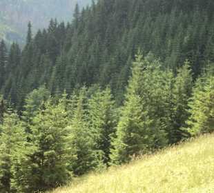 Tatrzański Park Narodowy