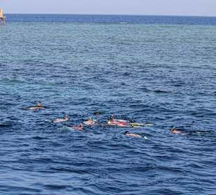 Unsere Grupe mit Flipper alleine