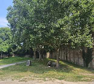 Mainpromenade