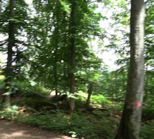 Hochgeträumt Premiumwanderung