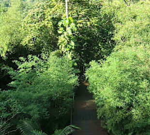 Weg nach untern zur ehemaligen Bahnstrecke