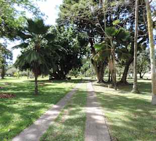 Im Garten des Museums