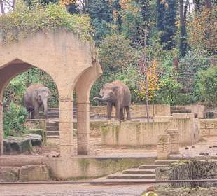 Zoo Hannover 