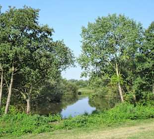 Tour durch den sommerlichen Park Links der Weser