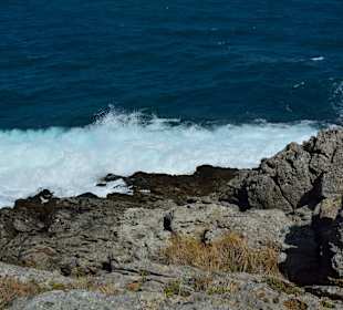 Ein paar Inspirationen von unserer Strandwanderung
