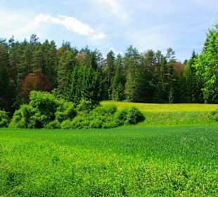 Wanderung zum Bärenfels