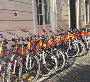 Wheely Bike Rental & Tour