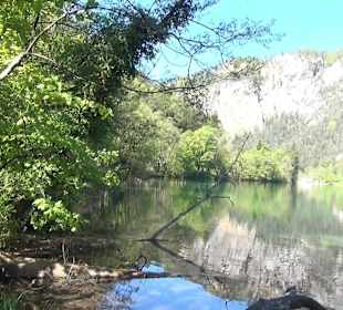 Thumsee 