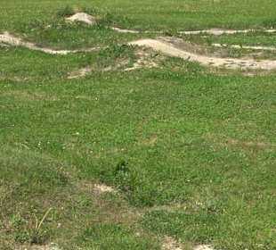 Pumptrack Oberiflingen