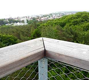 Ausblick