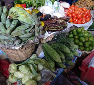 Hochland von Sri Lanka