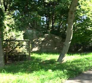 Leibfriedscher Garten