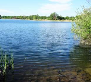 Eindrücke vom Hufeisensee im Wietzepark