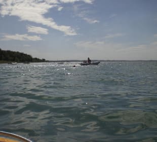 Blick auf den See vom Tretboot aus