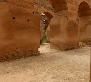 You can imagine 1000s of horses