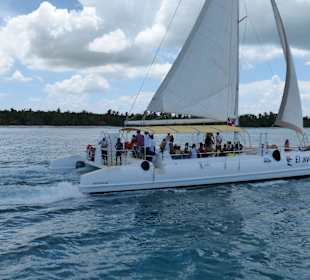 Katamarane im Doppelpack