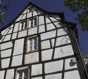 Museum unterm Trifels