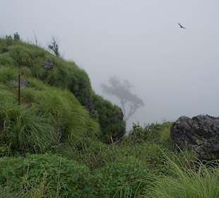 Phu Chi Fa -  Chiang Rai Province, Thailand.