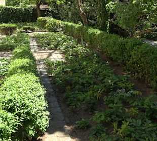 Rosengarten Nördlingen